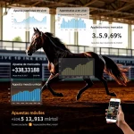 tendencias-apuestas-carreras